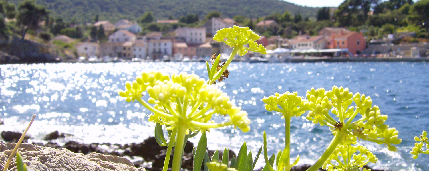 Mali Lošinj